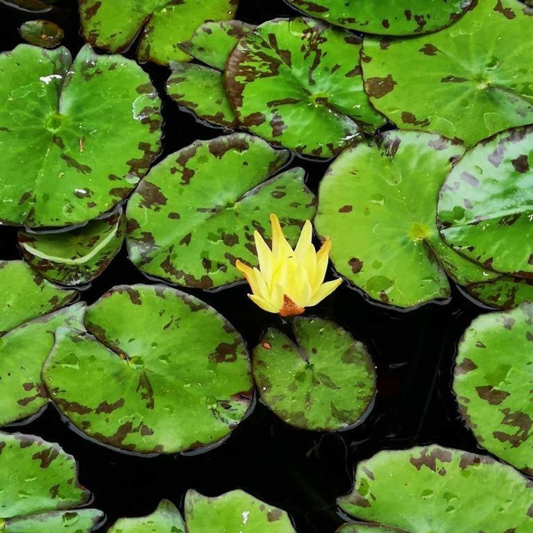 Villa Aguacate テロル エクステリア 写真